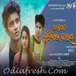 Mate Bhulibara Karana